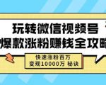 玩转微信视频号爆款涨粉赚钱全攻略,快速涨粉百万变现万元秘诀-最全项目网