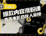 【毒舌电影合伙人亲授】抖音爆款内容涨粉课，5000万抖音大号首次披露涨粉机密-最全项目网