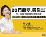 叶小鱼21天短视频文案拆书营，学完轻松搞定各类书单短视频文案-最全项目网