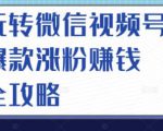 玩转微信视频号爆款涨粉赚钱全攻略,让你快速抓住流量风口,收获红利财富-最全项目网