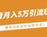 老古董·抖音月入5万引流玩法，看看老司机如何玩转抖音(附赠：抖音另类引流思路)-最全项目网