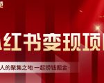 渣圈学苑·小红书虚拟资源变现项目，一起捞钱掘金价值1099元-最全项目网