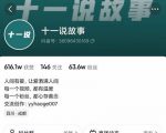 十一说故事·故事性中视频，观众快速共鸣从而快速变现的中视频玩法-最全项目网