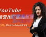 外国人眼中的YouTube该怎么玩？Elisa·YouTube运营推广实战技巧-最全项目网
