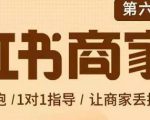 贾真-小红书商家营第6期商家版，21天带货陪跑课，让商家丢掉付流量-最全项目网
