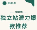 【跨境B哥】独立站潜力爆款选品推荐，测款出单率高达百分之80-最全项目网