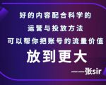 张sir账号流量增长课,告别海王流量,让你的流量更精准-最全项目网