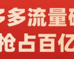 阿杰·拼多多流量破局:如何打黑标，爆款的思路，拼多多流量框架，快速抢占百亿流量-最全项目网