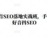 王通·抖音SEO落地实战班,手手带你做好音抖SEO-最全项目网