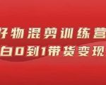 万三好物混剪训练营:小白0到1带货变现课-最全项目网