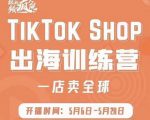 疯人院:TikTok Shop出海训练营(一店卖全球),出海抢占全球新流量-最全项目网