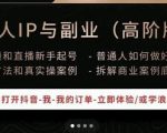 一舟一课个人IP与副业(高阶版),短视频和直播新手起号-普通人如何做好个人IP-最全项目网