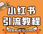 小红书运营引流全系列课程，每天引流100精准粉-最全项目网