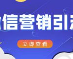 微信营销策划引流系列课程,每天引流100精准粉-最全项目网