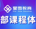星雪教育淘系高级班，更全的运营提升方案，零基础由浅入深，店铺最新玩法-最全项目网