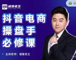诸葛老王-抖音电商操盘手必修课：顶层设计，​起号破局，爆款运营，数据分析-最全项目网