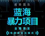 引流哥蓝海暴力躺赚项目：无需发圈无需引流无需售后，每单赚50-500（教程+线报群)-最全项目网