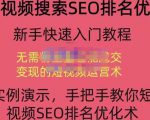 宋老师·短视频搜索SEO优化，教你10分钟创作一个短视频，三天排名上第一-最全项目网