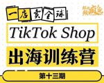 TikTokShop出海训练营（第十三期），打开全球流量新思维，出海抢占全球新流量，一店卖全球-最全项目网