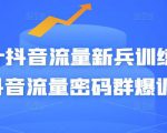 Peter抖音流量新兵训练营-破解抖音流量密码群爆训练营（新兵）-最全项目网