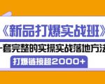 凌童《新品打爆实战班》,一套完整的实操实战落地方法,打爆链接超2000+(28节课)-最全项目网