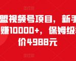 猎人联盟视频号项目,新手0基础轻松月赚10000+,保姆级教程原价4988元-最全项目网