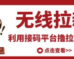 最新接码无限拉新项目，利用接码平台赚拉新平台差价，轻松日赚500+-最全项目网