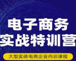 民赛电气内部出品：电子商务实战特训营，全方位带你入门电商，308种方式玩转电商-最全项目网