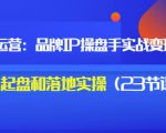 秒懂代运营:品牌IP操盘手实战赚钱,0-1起盘和落地实操(23节课程)价值199-最全项目网