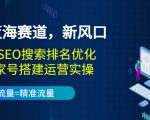 2022蓝海赛道,新风口:短视频SEO搜索排名优化+企业商家号搭建运营实操-最全项目网