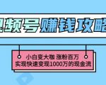 玩转微信视频号赚钱：小白变大咖涨粉百万实现快速变现1000万的现金流-最全项目网