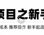 虚拟项目快速起店模式，0成本打造月入几万虚拟店铺！-最全项目网