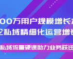 8000万用户规模增长方法论私域精细化运营增长,私域流量硬课助力业务跃迁-最全项目网