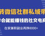 玩转微信社群私域带货，学会就能赚钱的社交电商，在家兼职副业再挣8000+-最全项目网