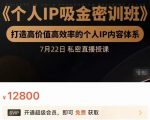 个人IP吸金密训班，打造高价值高效率的个人IP内容体系（价值12800元）-最全项目网