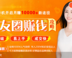 全网千万人气导师亲授：零基础/易上手的朋友圈赚钱攻略，让你轻松月入过万-最全项目网