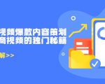 带货短视频爆款内容策划，关于电商视频的独门秘籍（价值499元）-最全项目网