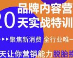 《内容营销实操特训营》20天让你营销能力脱胎换骨(价值3999)-最全项目网