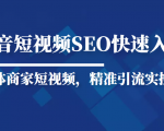 抖音短视频Seo搜索排名优化新手快速入门教程，实体商家短视频，精准引流实操课-最全项目网