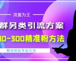 价值888的QQ群另类引流方案，半自动操作日200~300精准粉方法【视频教程】-最全项目网