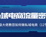私域电商流量密码:千万级大佬教您如何做私域电商(12节课)-最全项目网