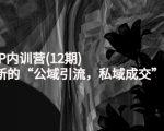 新媒体IP内训营(12期)，一套全新的“公域引流，私域成交”IP打法，直接带走-最全项目网