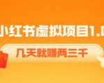《小红书虚拟项目1.0》账号注册+养号+视频制作+引流+变现，几天就赚两三千-最全项目网