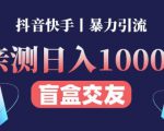 日收益1000+的交友盲盒副业丨有手就行的抖音快手暴力引流-最全项目网