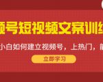 视频号短视频文案训练营:0基础小白如何建立视频号,上热门,能卖货!-最全项目网