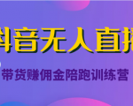 抖音无人直播带货赚佣金陪跑训练营(价值6980元)-最全项目网