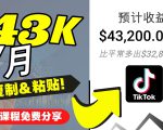 2022抖音国际版Tiktok赚钱项目:每天上传一个视频就轻松月入$43200-最全项目网