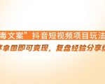 “毒文案”抖音短视频项目玩法，小程序拿图即可变现，复盘经验分享给大家-最全项目网
