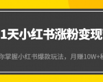 21天小红书涨粉变现营(第4期):带你掌握小红书爆款玩法,月赚10W+秘密-最全项目网
