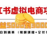 小红书虚拟电商项目:从小白到精英 月收益5000到30000 (视频课程+交付手册)-最全项目网